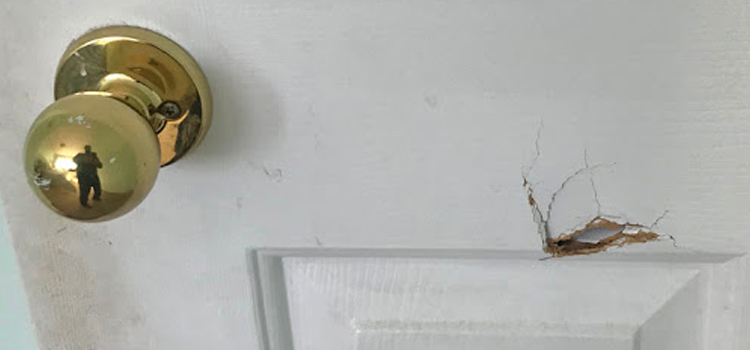 interior door hole repair Lakeside