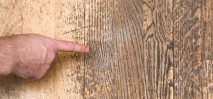 Wood Door Scratch Repair in Lakeside